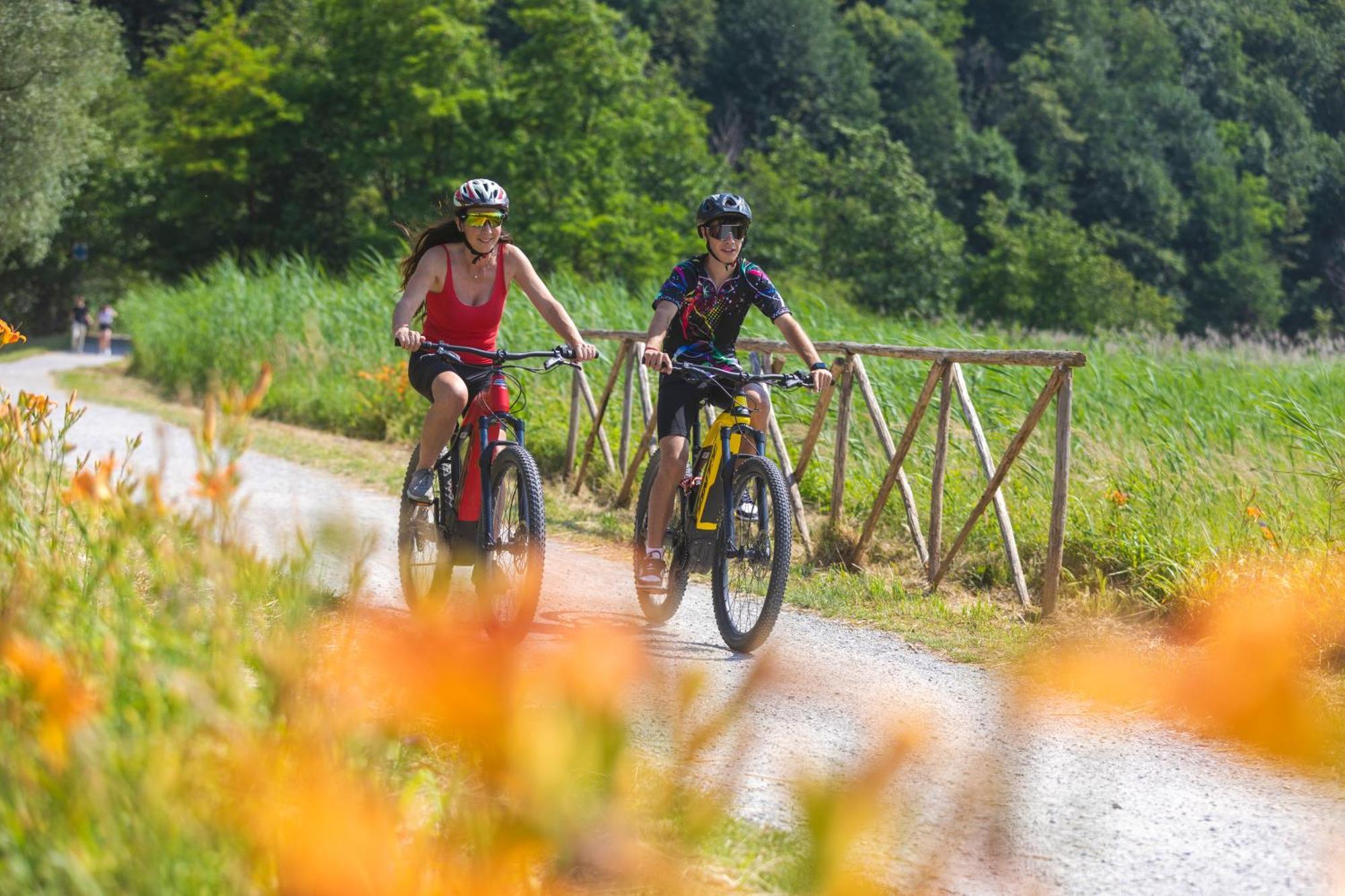 I Laghee Casette Breva E Tivano -Garden-Parking-Lake View - Bike Friendly Holiday House Colico Ngoại thất bức ảnh
